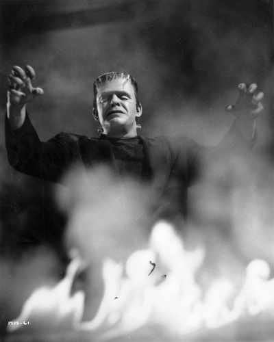 ghost of frankenstein 61 film star poster A4 Photo Print