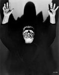 ghost of frankenstein ad 38 film star poster A4 Photo Print