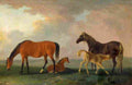 gilpin Mares and Foals Facing Left Art A4 Photo Print