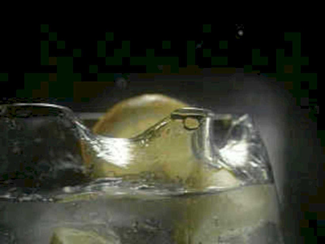 gin tonic lemon1980s 1990s A4 Photo Print