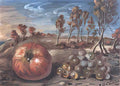 giorgio de chirico still life with apples and grapes in a landscape Art A4 Photo Print