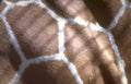 giraffe spots detail Vintage A4 Photo Print