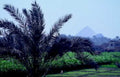 giza pyramids landscape1980s 1990s A4 Photo Print