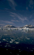 glacier bay icebergs 2 1980s 1990s A4 Photo Print