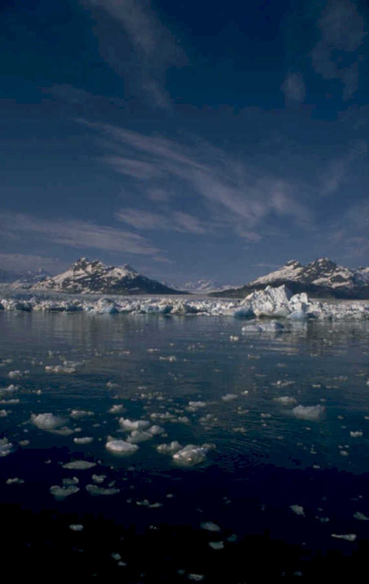 glacier bay icebergs 2 1980s 1990s A4 Photo Print