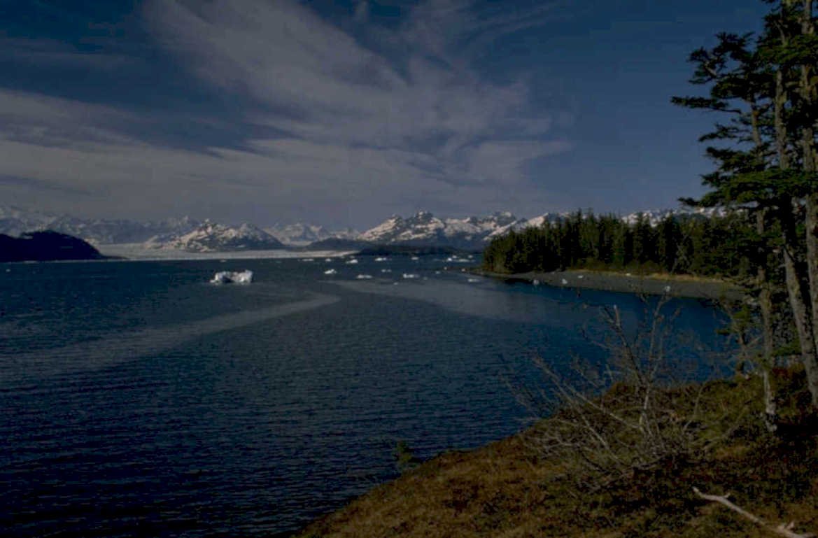 glacier bay icebergs 3 1980s 1990s A4 Photo Print