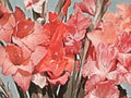 gladiolus flowers red1980s 1990s A4 Photo Print 42