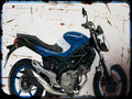 gladius 650 abs Suzuki A4 Photo Print Motorbike Vintage Aged