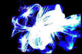 glowing white flower Vintage A4 Photo Print