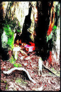 gnarled tree fox Vintage A4 Photo Print