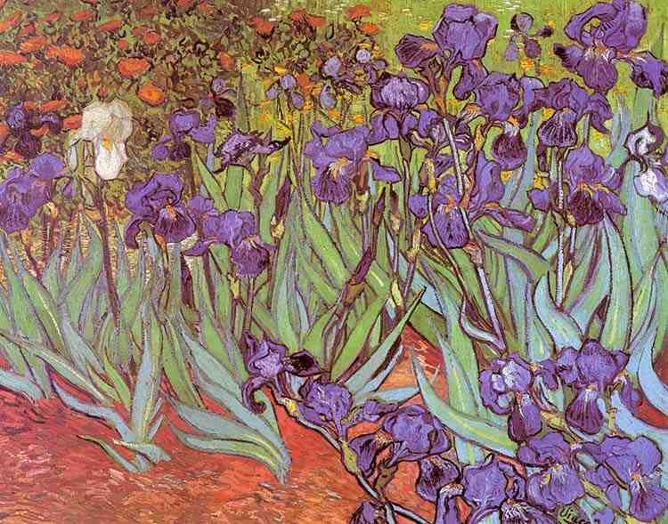 gogh39 A4 Photo Print