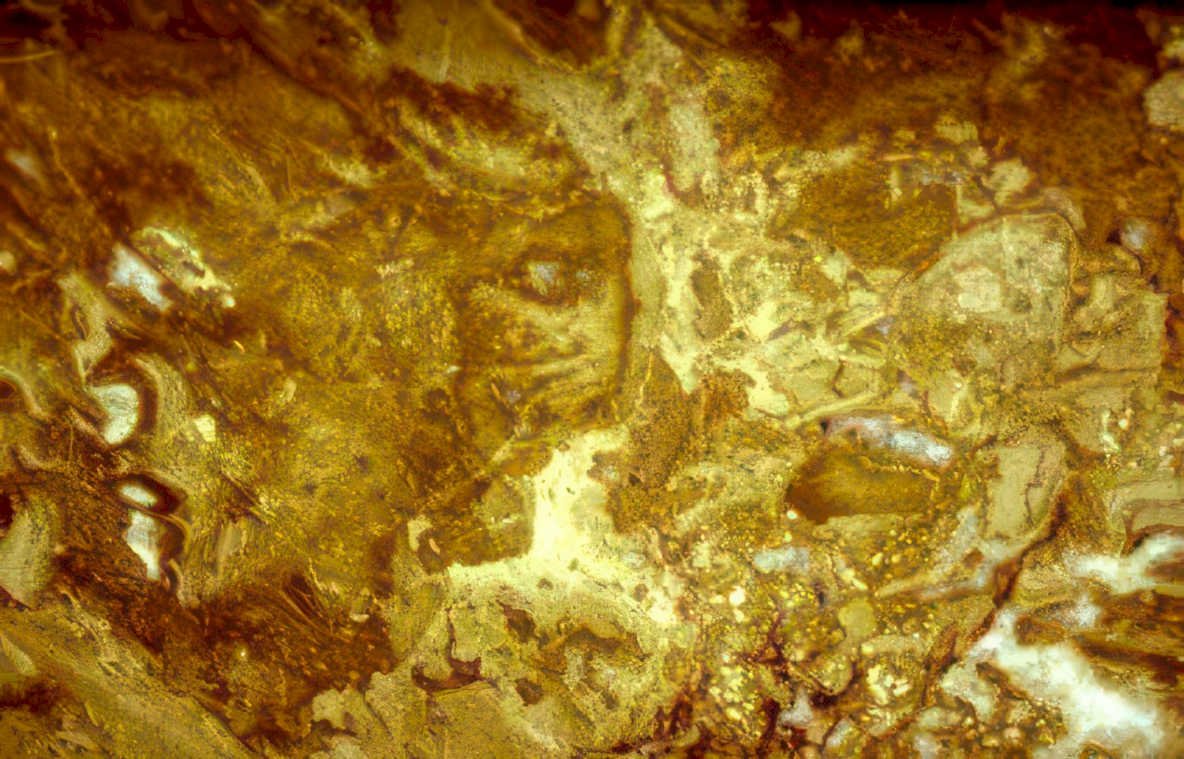 gold nugget vein Vintage A4 Photo Print