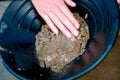 gold pan sediment1980s 1990s A4 Photo Print