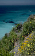 golden bay landscape 1980s 1990s A4 Photo Print