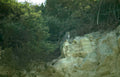 golden eagle cliff Vintage A4 Photo Print
