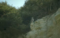 golden eagle cliffside 1 Vintage A4 Photo Print