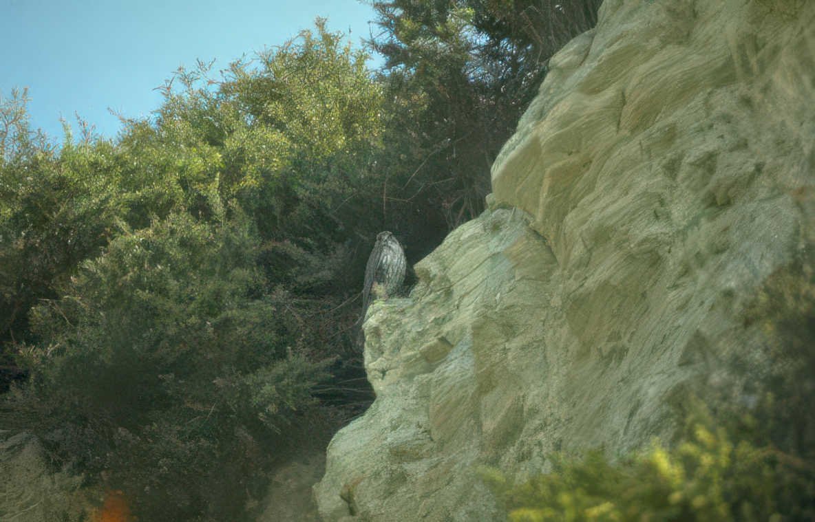 golden eagle cliffside 2 Vintage A4 Photo Print