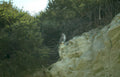 golden eagle cliffside Vintage A4 Photo Print