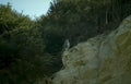 golden eagle crete Vintage A4 Photo Print