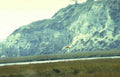 golden eagle flight 1 Vintage A4 Photo Print