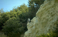 golden eagle hillside Vintage A4 Photo Print