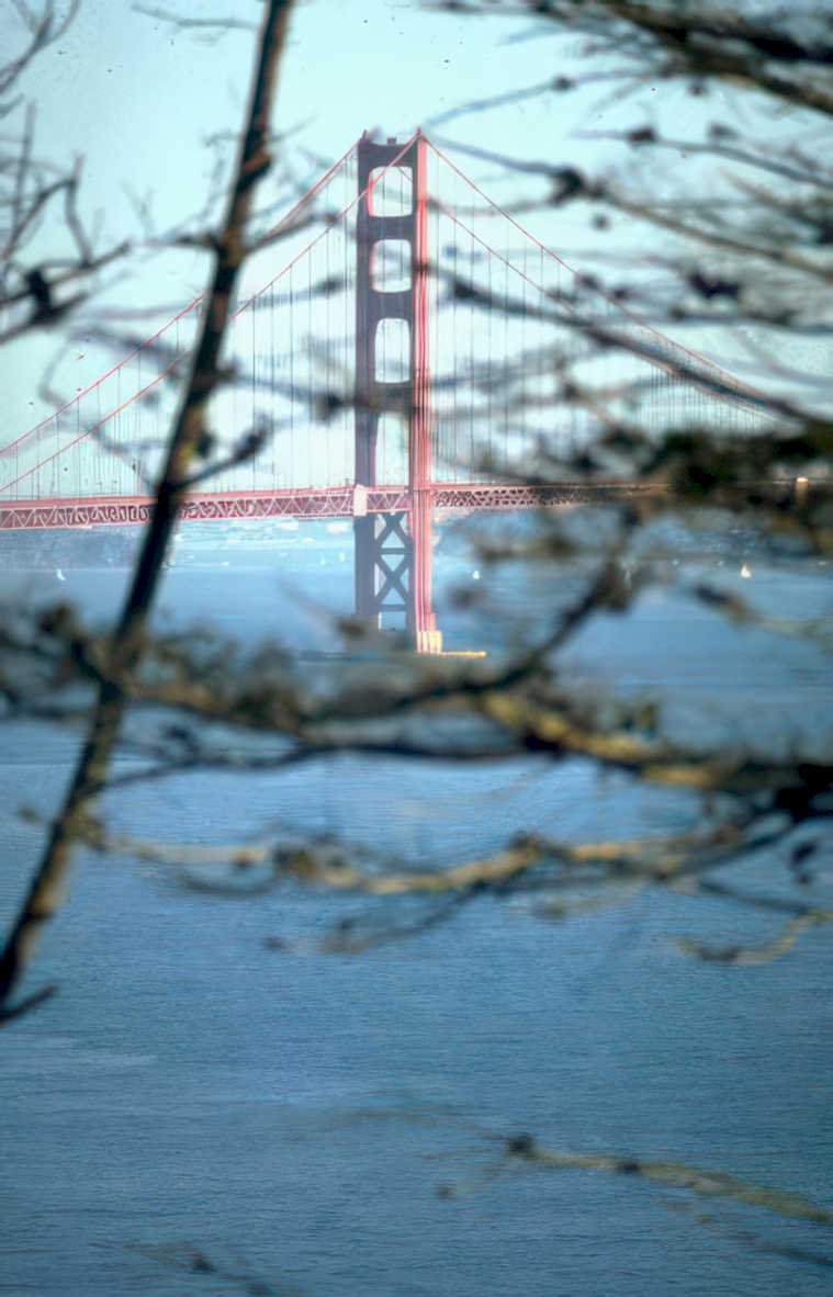 golden gate bridge 2 Vintage A4 Photo Print