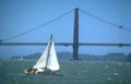 golden gate sailboat 2 Vintage A4 Photo Print