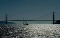 golden gate sailboats Vintage A4 Photo Print