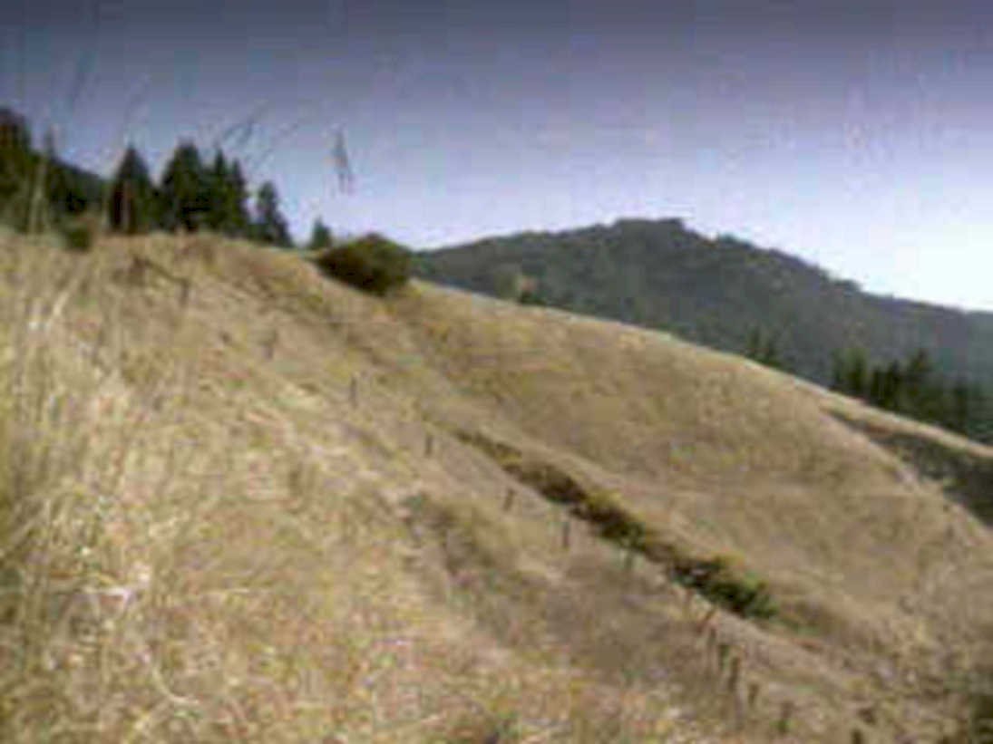 golden grass mountains1980s 1990s A4 Photo Print