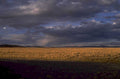 golden prairie storm 1980s 1990s A4 Photo Print