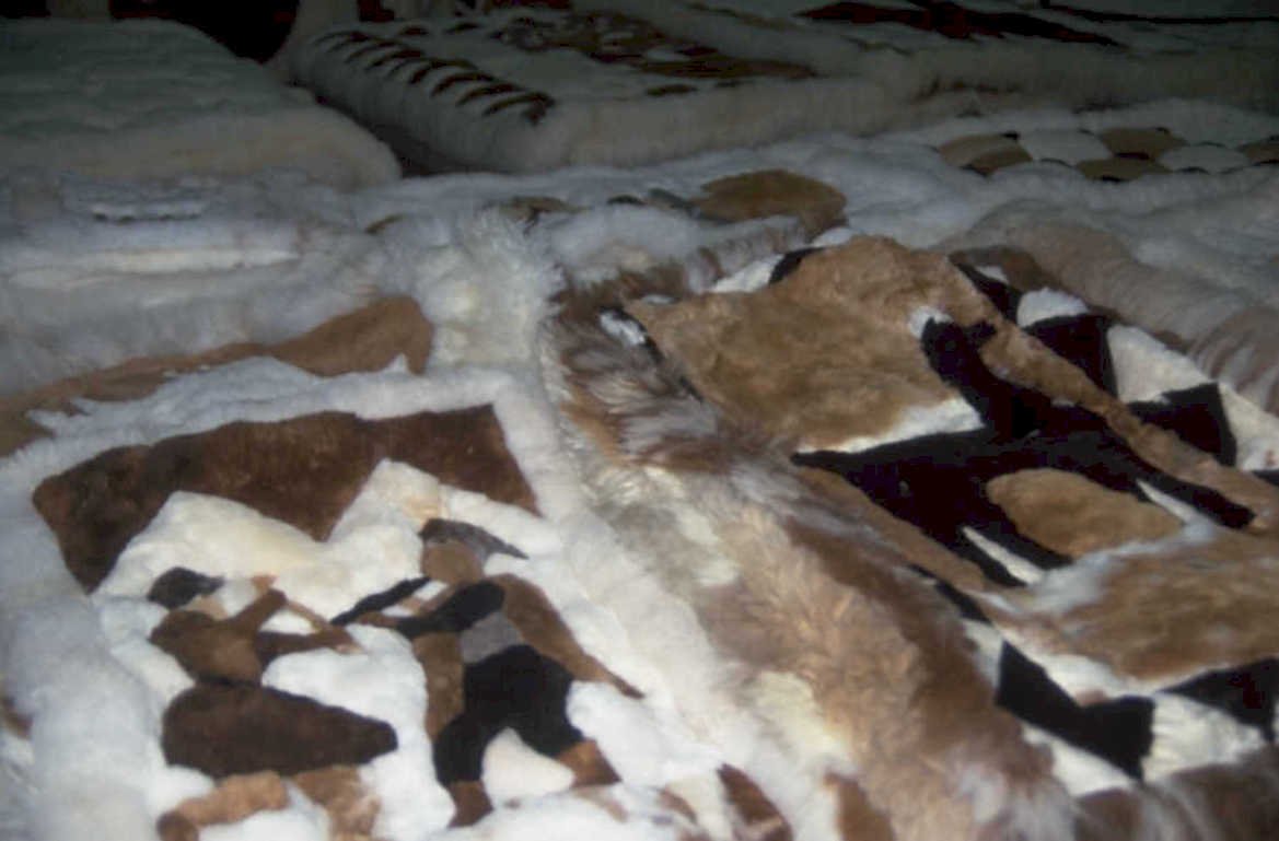 golden retriever bed 1980s 1990s A4 Photo Print