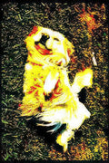 golden retriever puppy Vintage A4 Photo Print