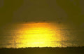 golden seagulls sunset Vintage A4 Photo Print