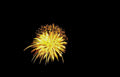 golden sparklers fireworks Vintage A4 Photo Print