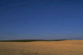 golden wheat sunset 1980s 1990s A4 Photo Print 42
