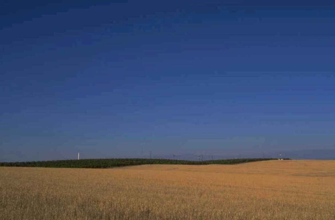 golden wheat sunset 1980s 1990s A4 Photo Print 42