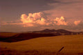 golden wheat sunset 1980s 1990s A4 Photo Print