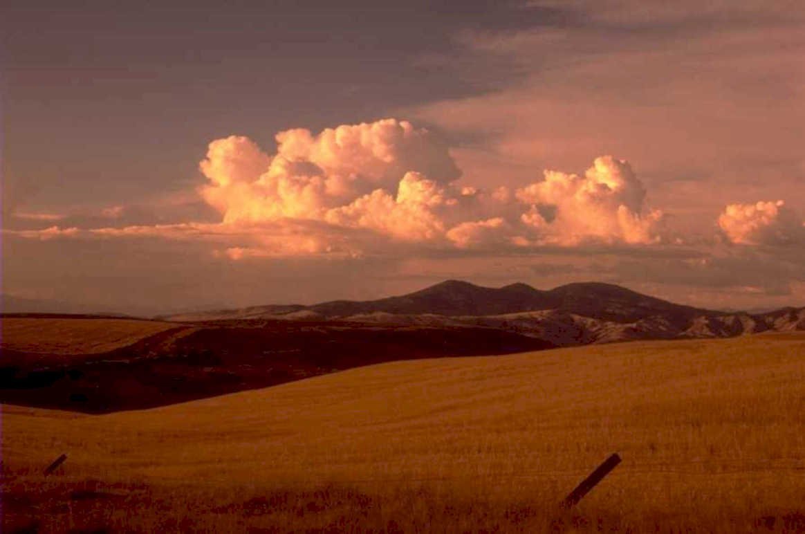 golden wheat sunset 1980s 1990s A4 Photo Print