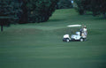 golf cart fairway Vintage A4 Photo Print