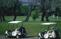 golf carts fairway Vintage A4 Photo Print