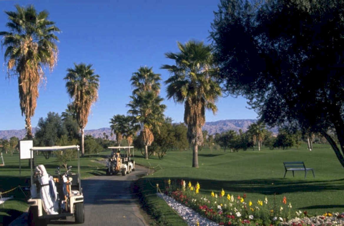 golf course palm 1 1980s 1990s A4 Photo Print