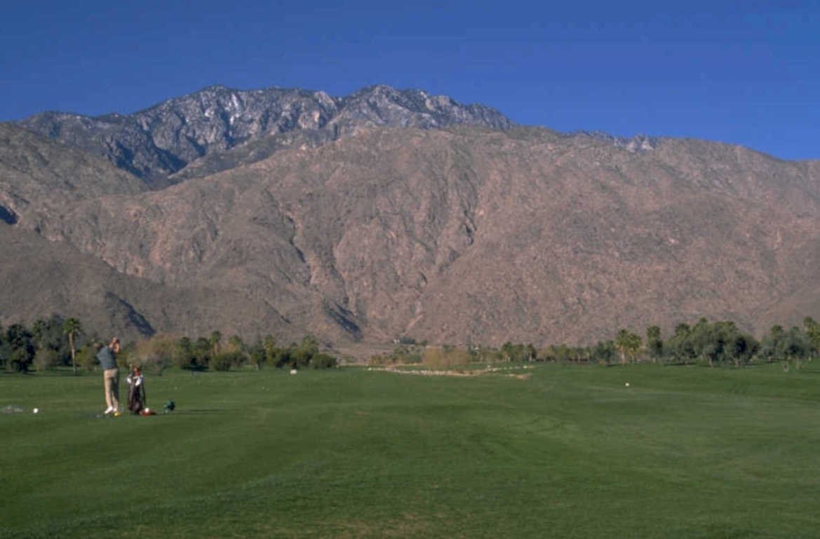 golf course palm 2 1980s 1990s A4 Photo Print