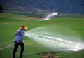 golf course watering1980s 1990s A4 Photo Print