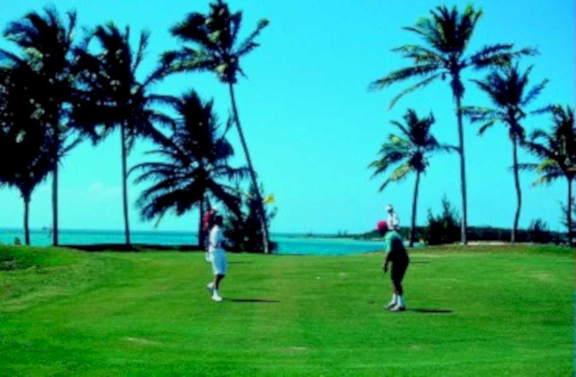golf fairway palm1980s 1990s A4 Photo Print 42