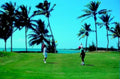 golf fairway palm1980s 1990s A4 Photo Print