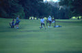 golf fairway players Vintage A4 Photo Print
