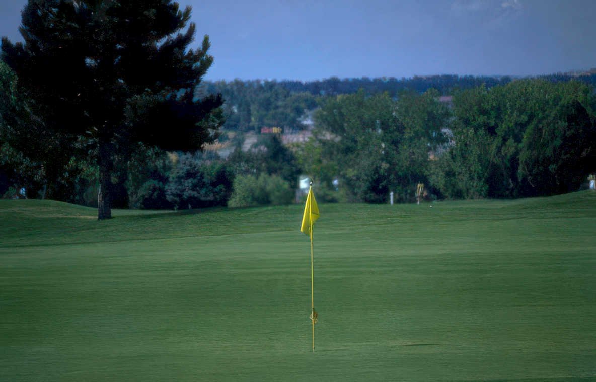 golf flagpole fairway Vintage A4 Photo Print