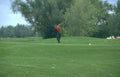 golf swing ball Vintage A4 Photo Print