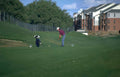 golf swing fairway Vintage A4 Photo Print