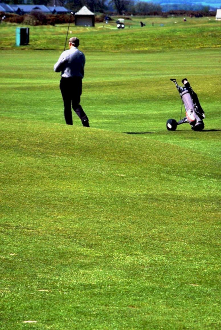 golfer swing fairway1980s 1990s A4 Photo Print